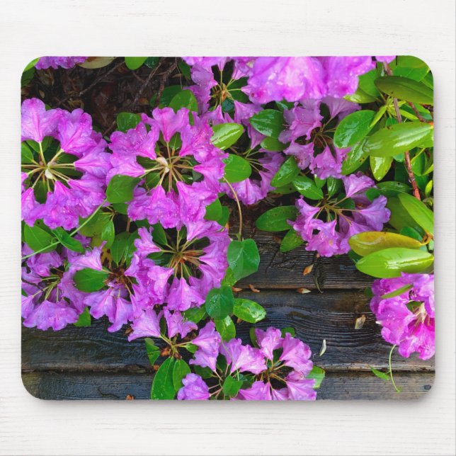 Alfombrilla De Ratón Flores elegantes rosas azaleas rosas (Frente)