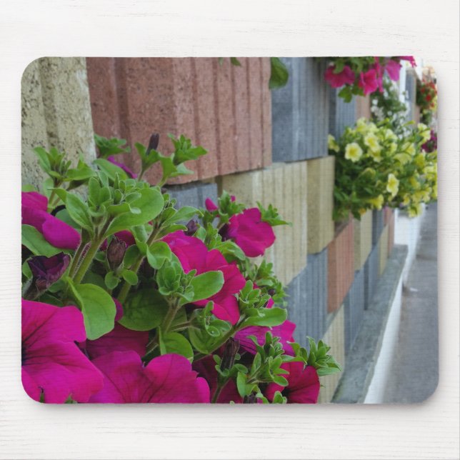 Alfombrilla De Ratón flores en la acera (Frente)