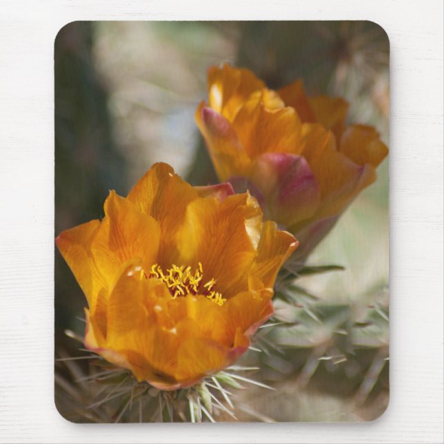 Alfombrilla De Ratón Flores Mousepad del cactus de Staghorn Cholla (Frente)