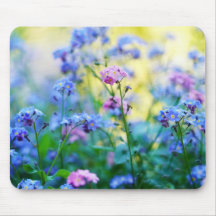 Flores nomeolvides