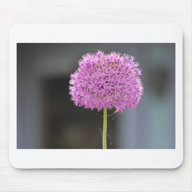 Alfombrilla De Ratón Flores para todos (Frente)