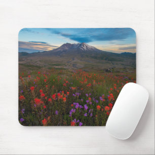 Alfombrilla De Ratón Flores Pincel indio y penstemon