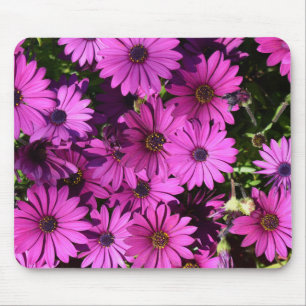 Alfombrilla De Ratón Flores púrpura de osteospermum