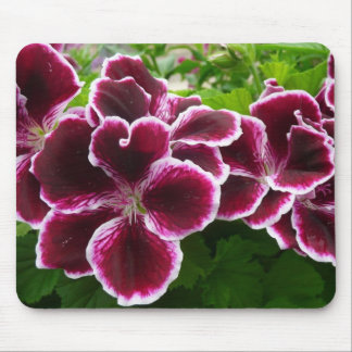 Alfombrilla De Ratón Flores Regal Geranium Elegante Maroon Floral Lugga