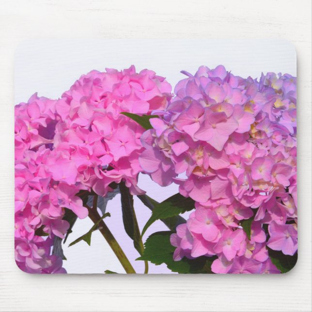 Alfombrilla De Ratón Flores rosa elegantes hidraeas rosas (Frente)