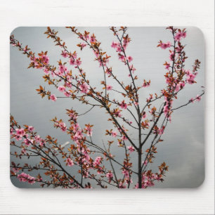 Alfombrilla De Ratón Flores rosadas del árbol