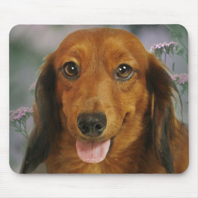 Alfombrilla De Ratón Flores salvajes lindas del Dachshund (Brown de (Frente)