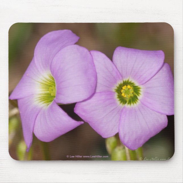 Alfombrilla De Ratón Flores silvestres - Almohadilla rosa para ratón Ox (Frente)