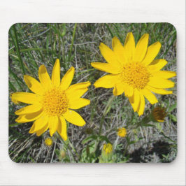 Alfombrilla De Ratón Flores silvestres amarillas F15 Sneezeweed