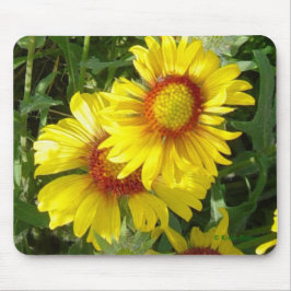 Alfombrilla De Ratón Flores silvestres amarillas Gaillardia F6