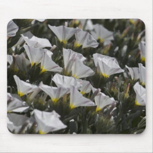 Alfombrilla De Ratón flores silvestres blancas