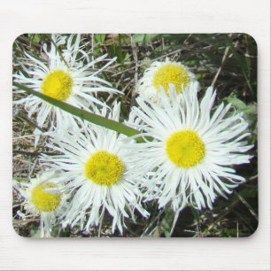 Alfombrilla De Ratón Flores silvestres blancas F10 Erigerón cespitoso