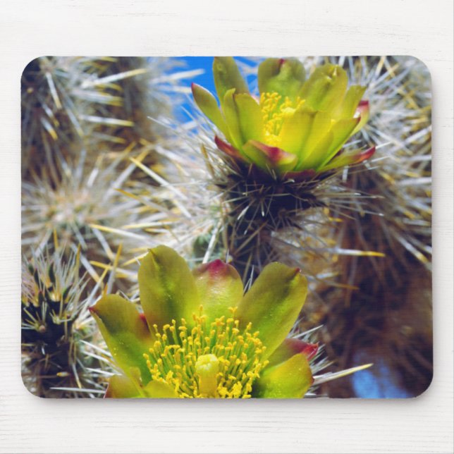 Alfombrilla De Ratón Flores silvestres de cactus Cholla de plata (Frente)