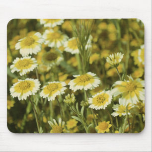 Alfombrilla De Ratón Flores silvestres girasoles amarillos y blancos