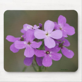 Alfombrilla De Ratón Flores silvestres moradas F19 Damas cohete