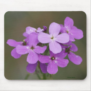 Alfombrilla De Ratón Flores silvestres moradas F19 Damas cohete