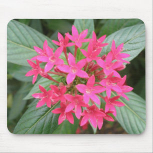Alfombrilla De Ratón Flores tropicales rosadas brillantes Mousepad