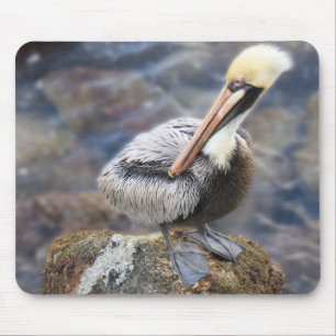 Alfombrilla De Ratón Florida Brown Pelican Standing on Jetty Rock