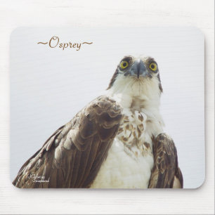 Alfombrilla De Ratón Florida Osprey Mousepad