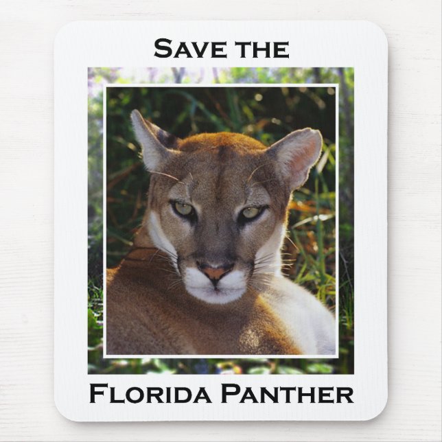 Alfombrilla De Ratón Florida Panther (Frente)
