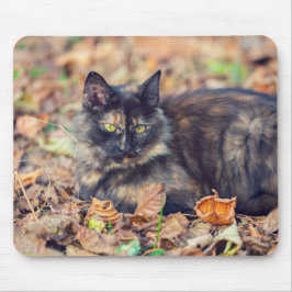 Alfombrilla De Ratón Fluffy Tortoiseshell Kitty en otoño