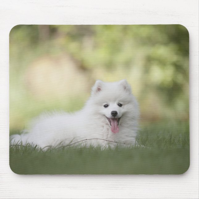 Alfombrilla De Ratón Fluffy White Keeshond Puppy (Frente)