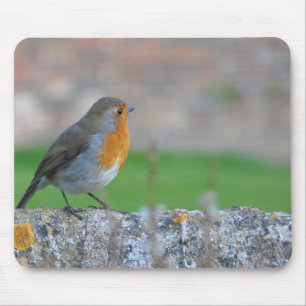 Alfombrilla De Ratón Flycatcher de pecho rojo