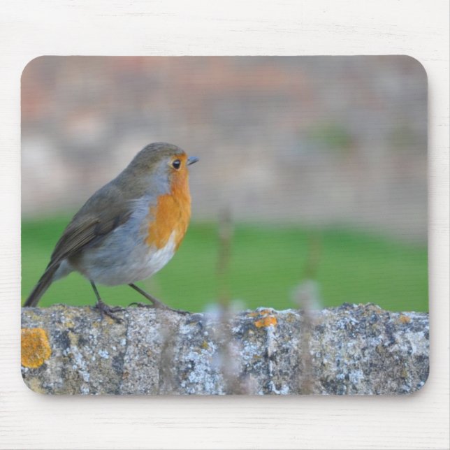 Alfombrilla De Ratón Flycatcher de pecho rojo (Frente)