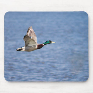 Alfombrilla De Ratón Flying Mallard