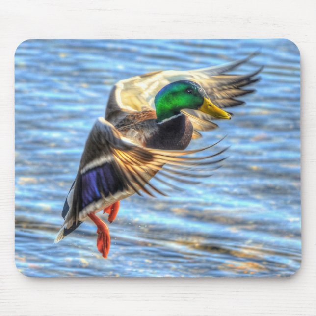 Alfombrilla De Ratón Flying Mallard Duck Birdlover Wildlife Photo (Frente)
