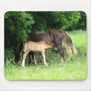 Alfombrilla De Ratón Foal Mousepad