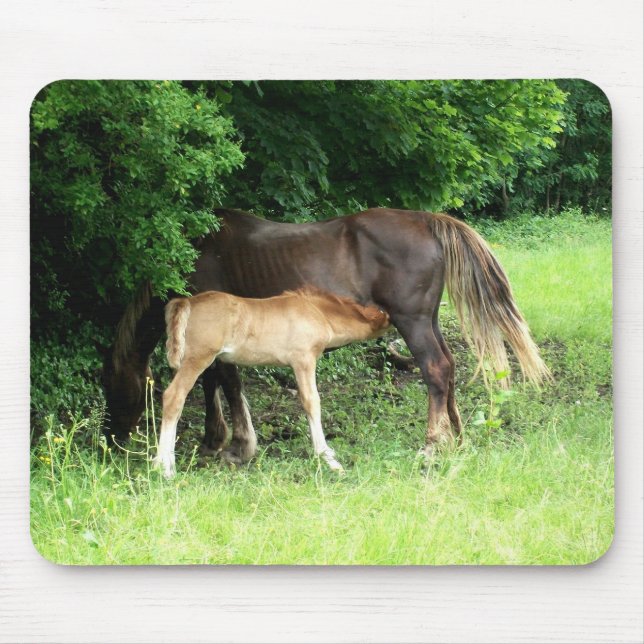 Alfombrilla De Ratón Foal Mousepad (Frente)