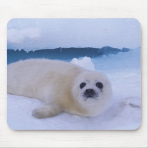Alfombrilla De Ratón Foca de Groenlandia Norteamérica, Canadá, Quebec