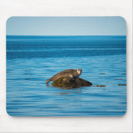Alfombrilla De Ratón Foca de puerto Atlántico