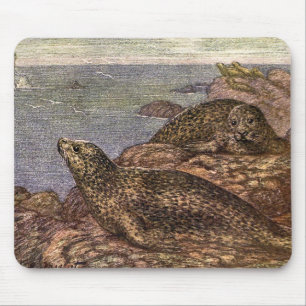 Alfombrilla De Ratón Focas de Puerto, Animales Marinos Vintage de la Vi