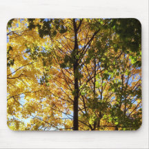 Foliage amarillo y verde otoño