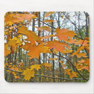 Alfombrilla De Ratón Foliage de arce de otoño