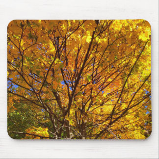 Alfombrilla De Ratón Follaje Amarillo de Otoño