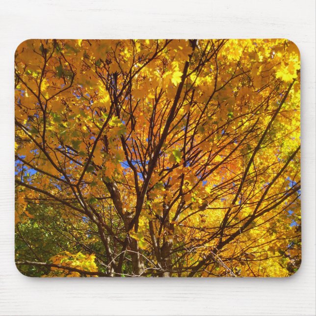 Alfombrilla De Ratón Follaje Amarillo de Otoño (Frente)