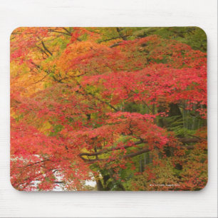 Alfombrilla De Ratón Follaje de otoño japonés