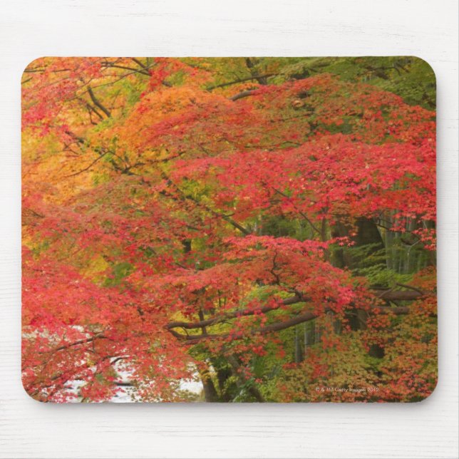 Alfombrilla De Ratón Follaje de otoño japonés (Frente)