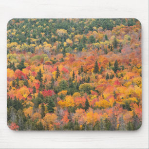 Alfombrilla De Ratón Follaje de otoño Península de Keweenaw, Michigan