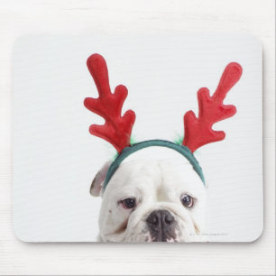 Alfombrilla De Ratón fondo blanco, bulldog blanco masculino, rojo