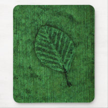 Fósil de hoja verde