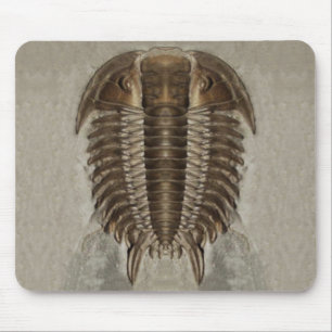 Alfombrilla De Ratón Fósil Mousepad de Trilobite