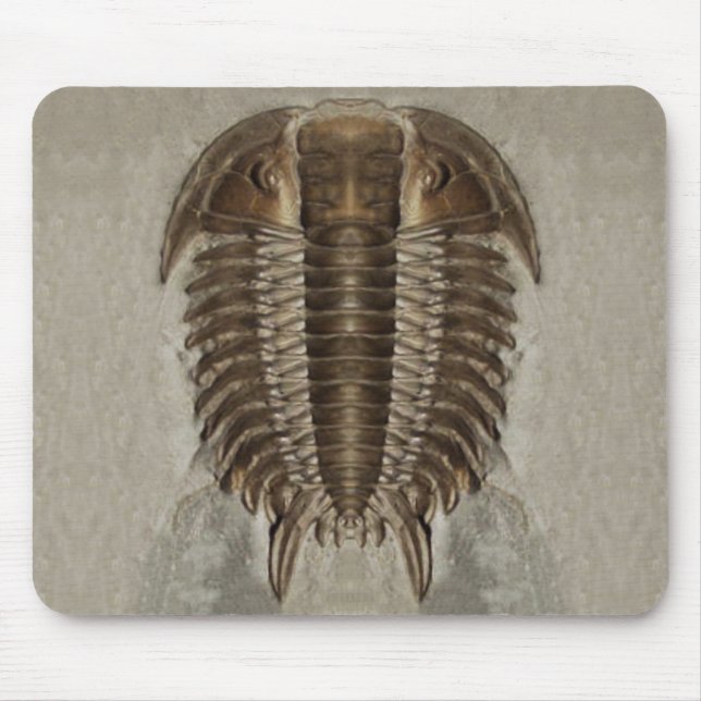 Alfombrilla De Ratón Fósil Mousepad de Trilobite (Frente)