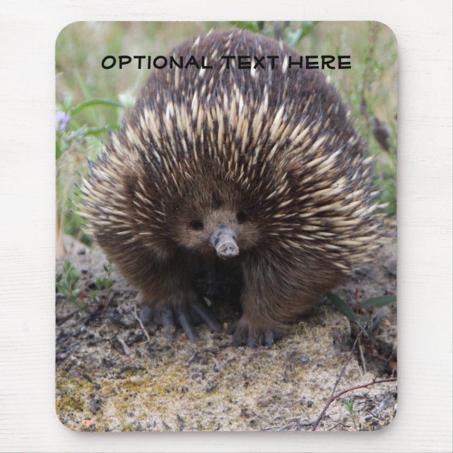 Alfombrilla De Ratón Foto animal linda del Echidna australiano (Frente)
