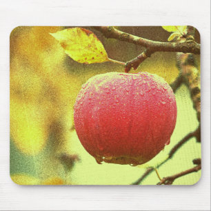 Alfombrilla De Ratón Foto Cute "Red Apple". ¡Hazte con una en Zazzle