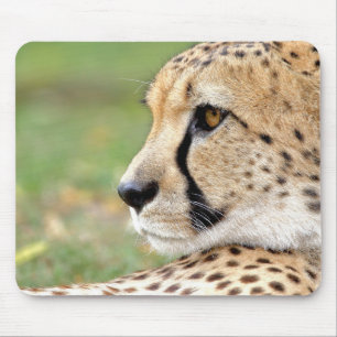 Alfombrilla De Ratón foto de animales de gatos guepard.  panel de mouse