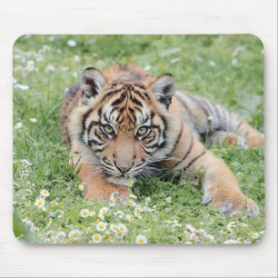 Alfombrilla De Ratón foto de animales de gatos tigre. almohadilla de ra